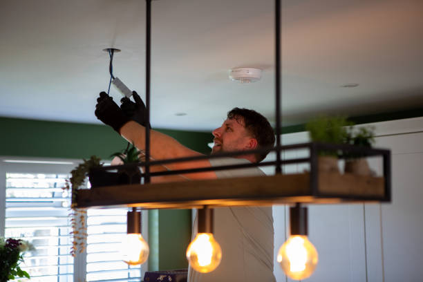 Best Electric Panel Repair  in Cameron, WI